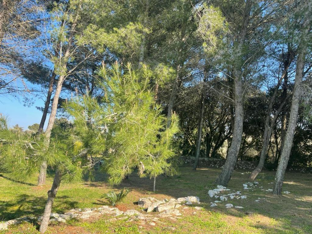 Da Ksenia Hotel Ceglie Messapica Luaran gambar