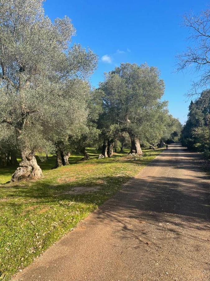 Da Ksenia Hotel Ceglie Messapica Luaran gambar