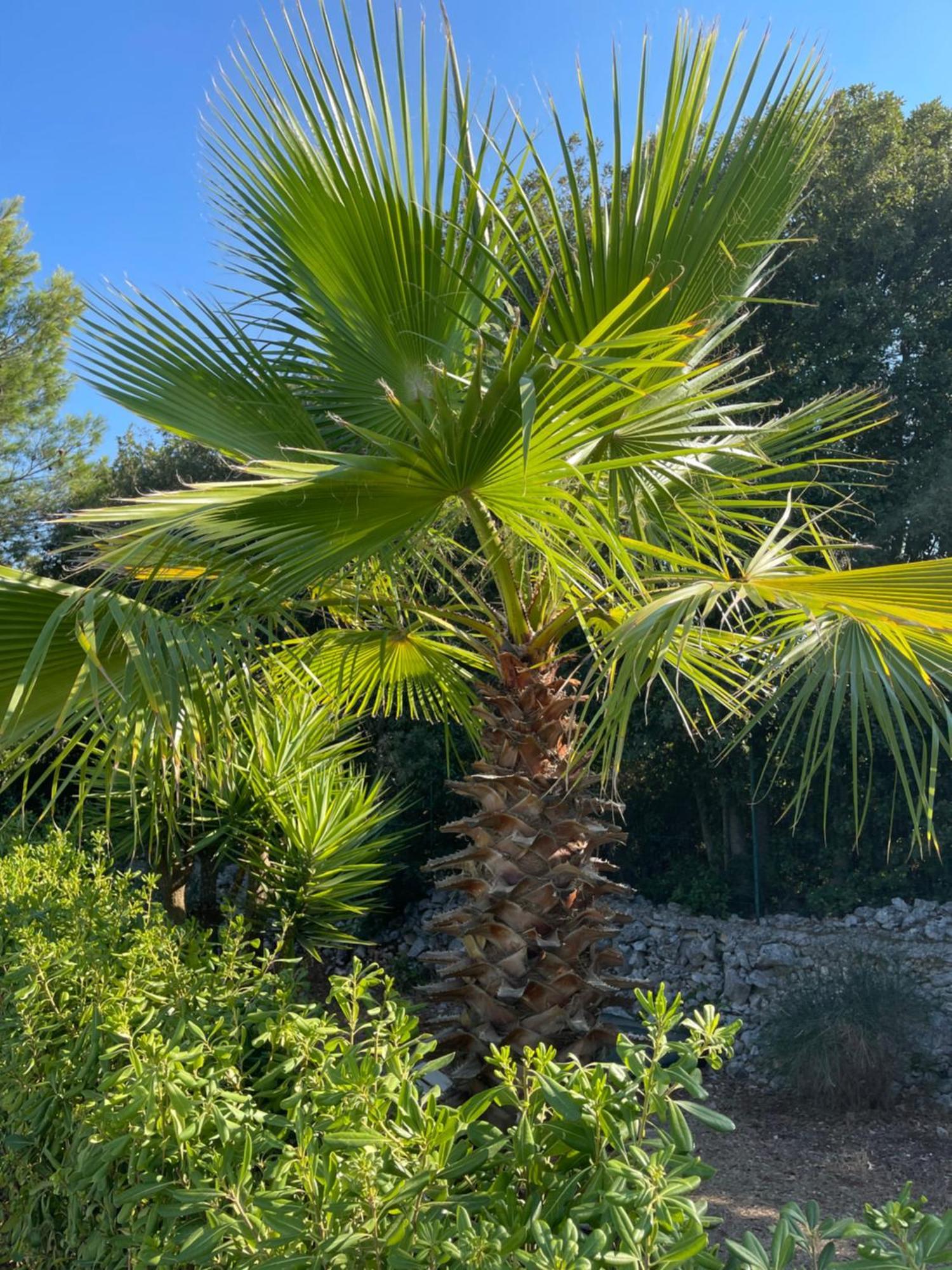 Da Ksenia Hotel Ceglie Messapica Luaran gambar