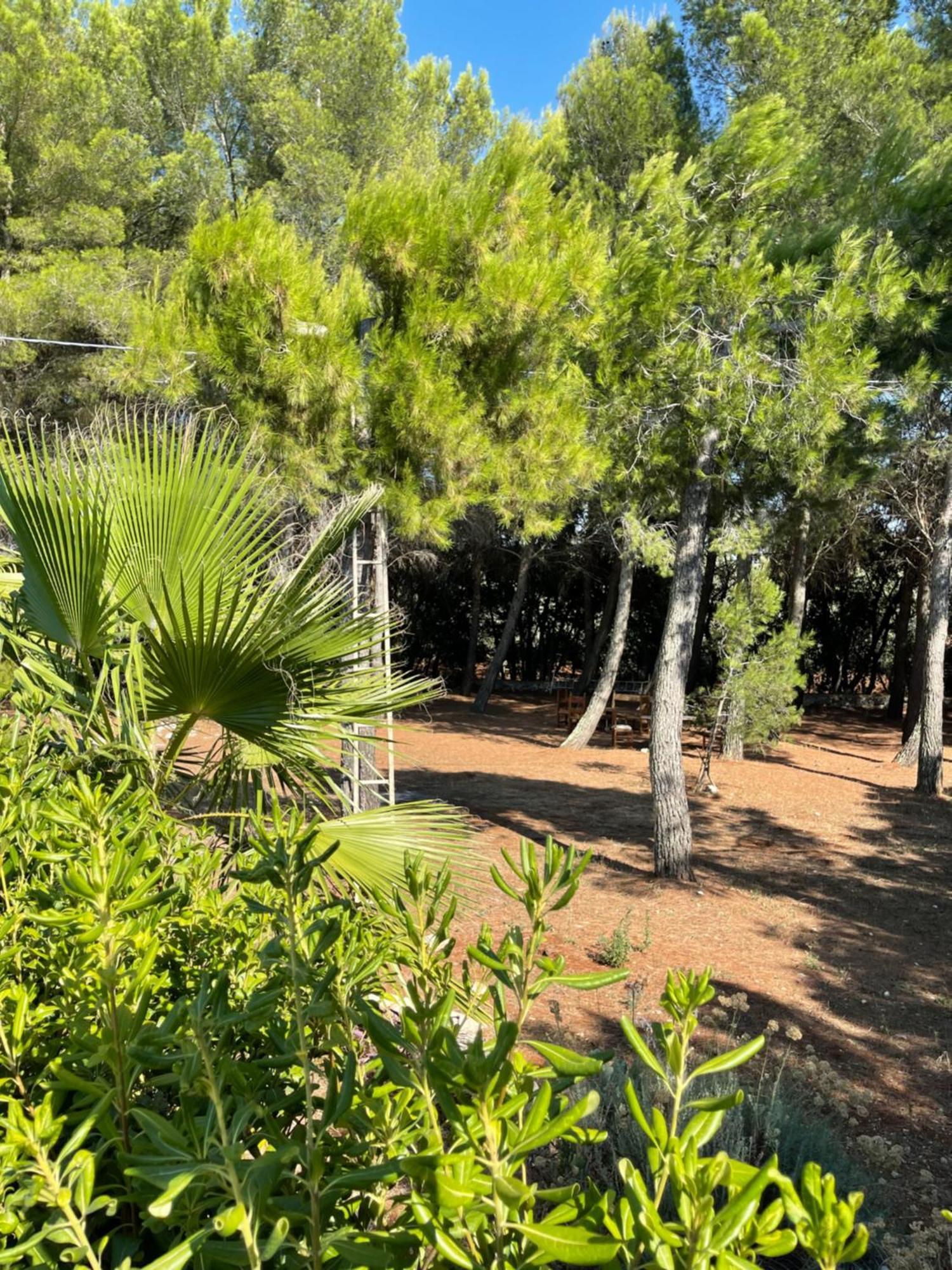 Da Ksenia Hotel Ceglie Messapica Luaran gambar
